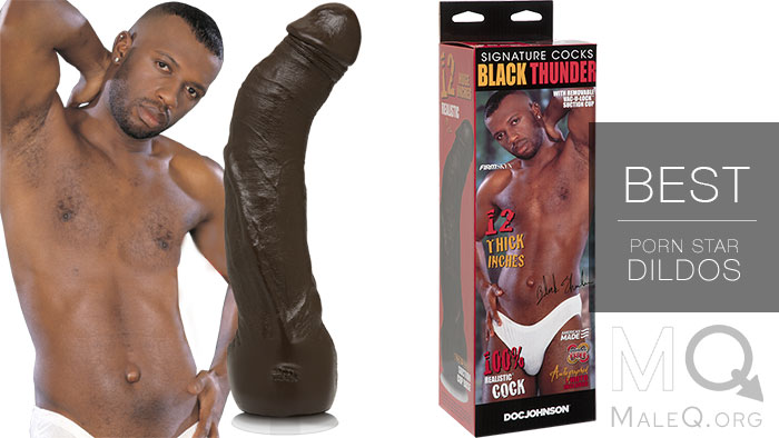 Best Porn Star Dildos Ranked Top Replica Cocks Mq